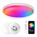 30W Slimme LED Plafondlamp RGB/CCT met Bluetooth, Spraakbesturing