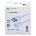 4smarts Apple Pencil Oplaadkabel - 1m - Wit