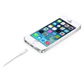 Apple MD819ZM/A Lightning/USB Kabel - iPhone, iPad, iPod - Wit - 2m