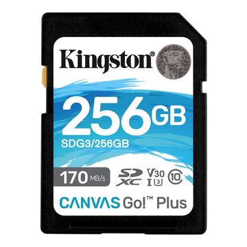 Kingston Canvas Go! Plus microSDXC Geheugenkaart SDG3/256GB