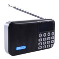 Draagbare Bluetooth DAB-radio met lcd-scherm