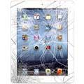 iPad 4 Displayglas & Touchscreen Reparatie - Wit