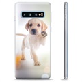 Samsung Galaxy S10+ TPU Hoesje - Hond