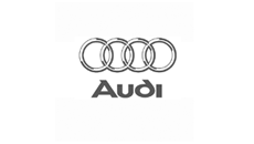 Audi dashboard houders