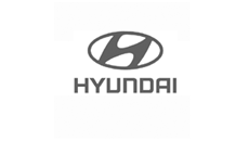 Hyundai dashboard houders