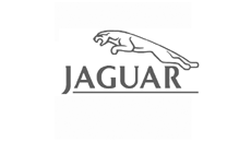 Jaguar dashboard houders