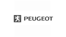 Peugeot dashboard houders