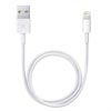 Apple Lightning / USB Kabel ME291ZM/A - Wit - 0.5m