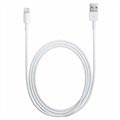 Apple Lightning / USB Kabel MQUE2ZM/A - iPhone, iPad, iPod - Wit - 1m