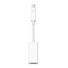 Apple Thunderbolt Voor FireWire Adapter MD464ZM/A